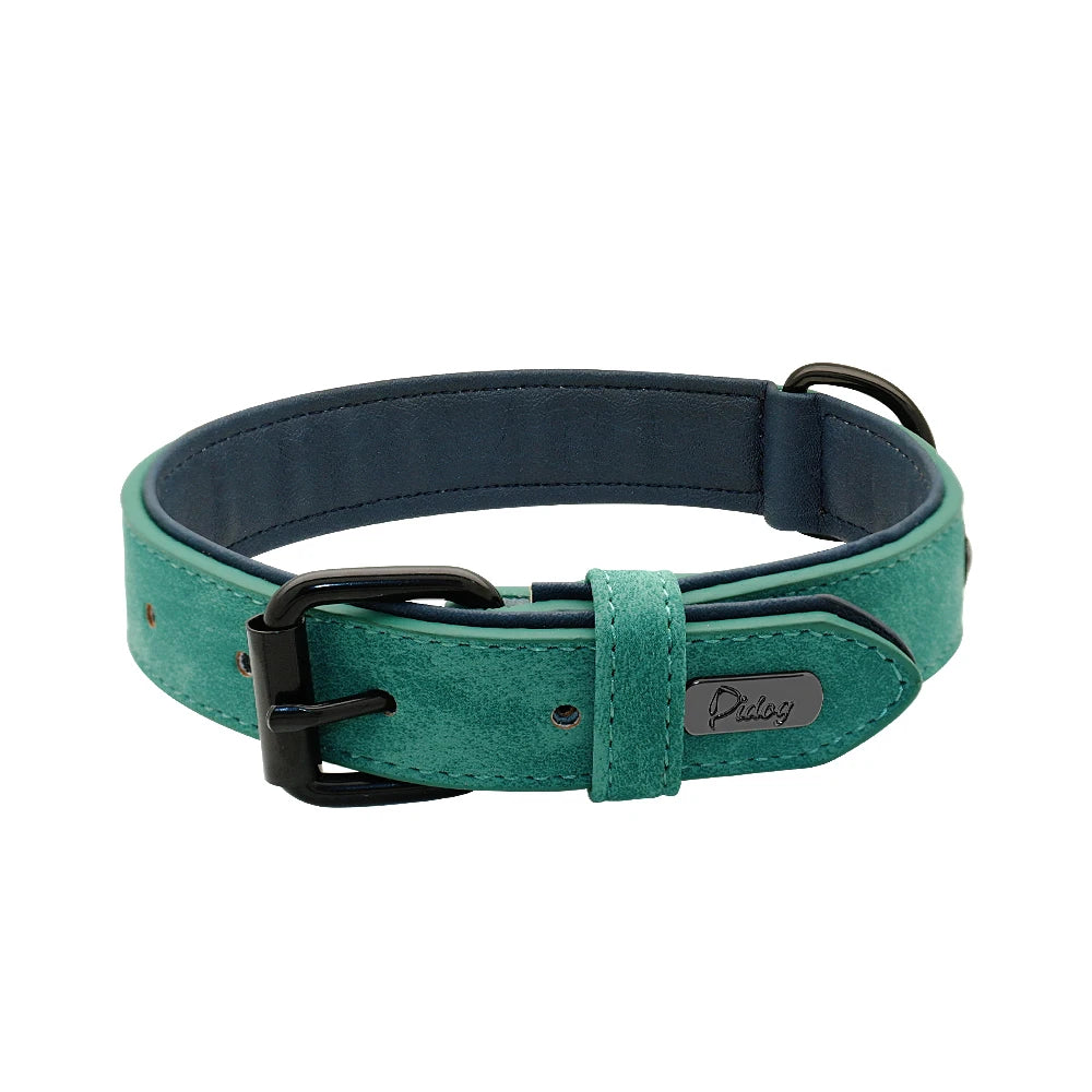 Dog Collar Soft Padded Leather